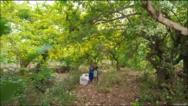 Pyaar Ka Pehla Adhyaya Shiv Shakti - 18th June 2024